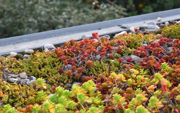 the cost of Brittens green roof installation