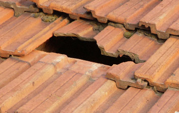 roof repair Brittens, Somerset